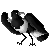 MagPie