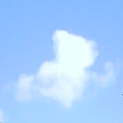 A Teddy Bear in the sky