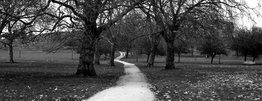 A Park In Camden