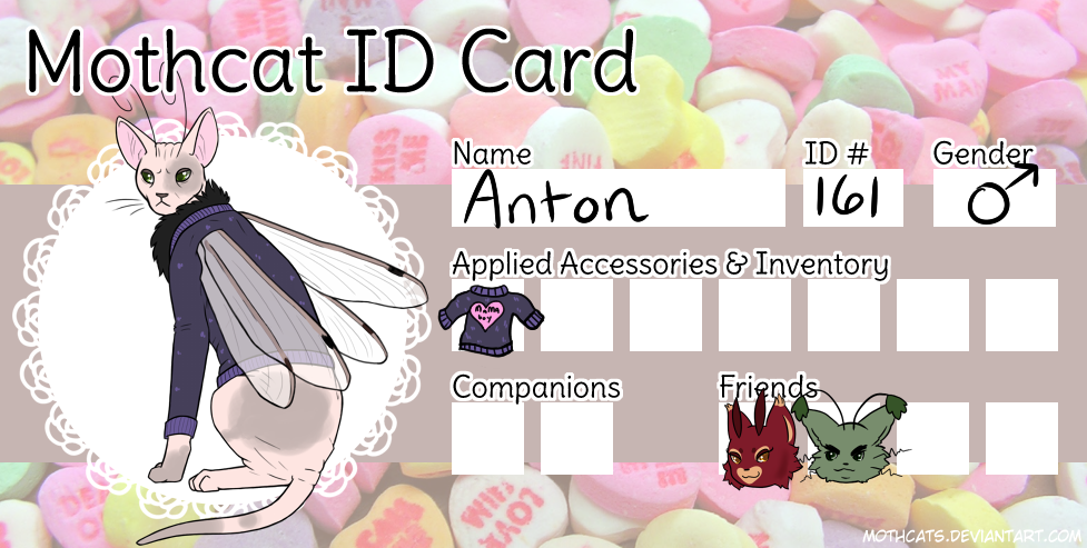 Mothcat ID Anton