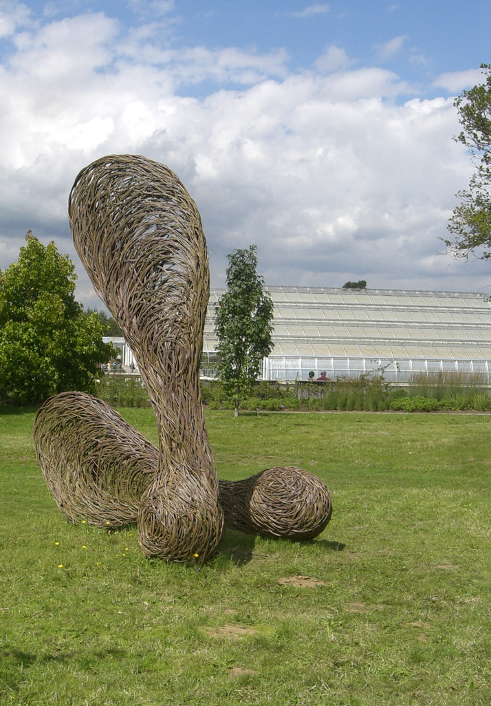 Sycamore Sculpture