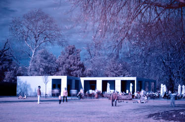 Chiswick House - Cafe