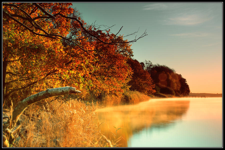 Autumn Morning