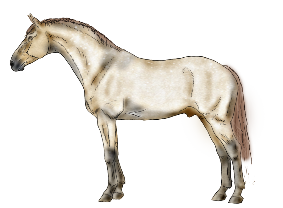 Champagne Grullo Roan by AngelitoCaz on DeviantArt