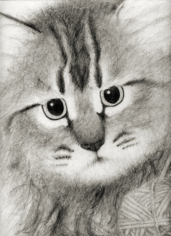 Kitty Pencil Drawing by asynjur