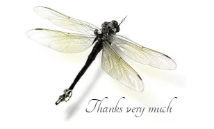 SP dragonfly