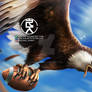 auburn eagle