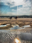 Imagine II by Millirat