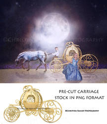 Carriage stock CR Photography Stock Precut PNG