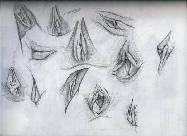 Pussy By TheFoundingFields On DeviantArt pussy-by-thefoundingfields-on-deviantart