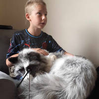 Baxter and Fox