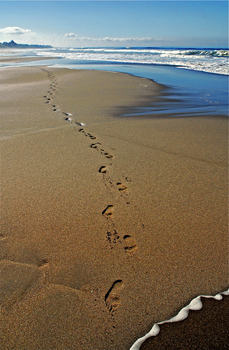 Solitary Walk