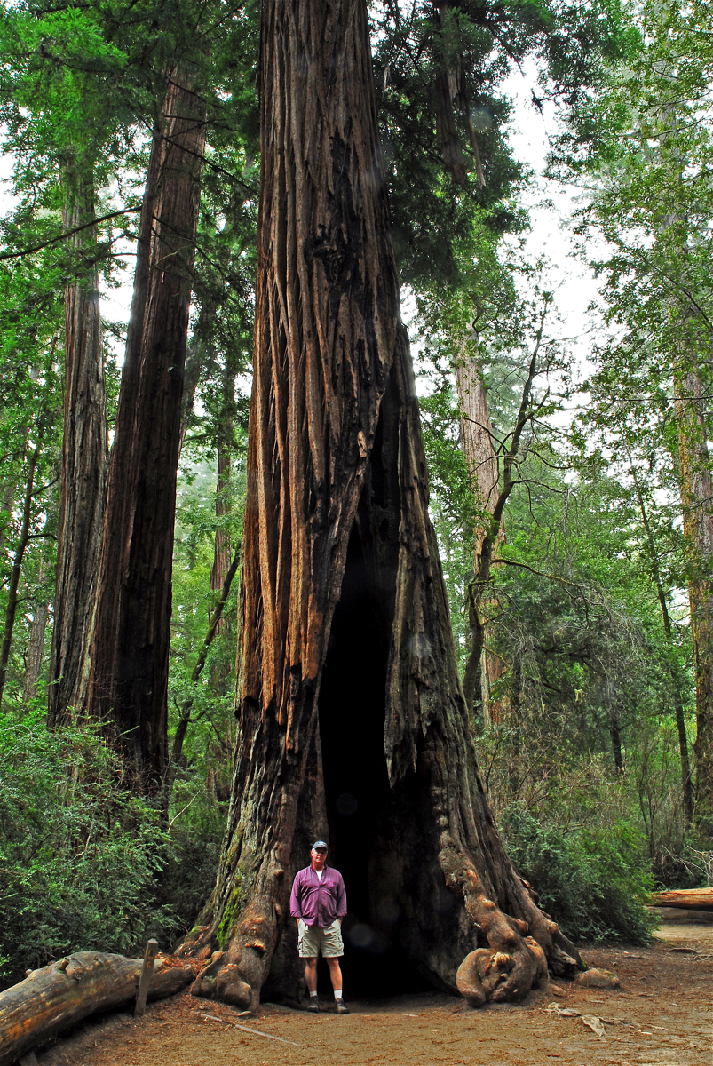 Big Basin 3