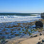 King Tide At Steamer's