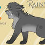 Reference Sheet - Rainwhisker