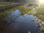 Chainlink Reflection by pait-et-amore