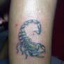 scorpion tattoo - dickstattoo