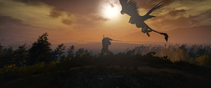 The Witcher 3. Geralt vs Griffin
