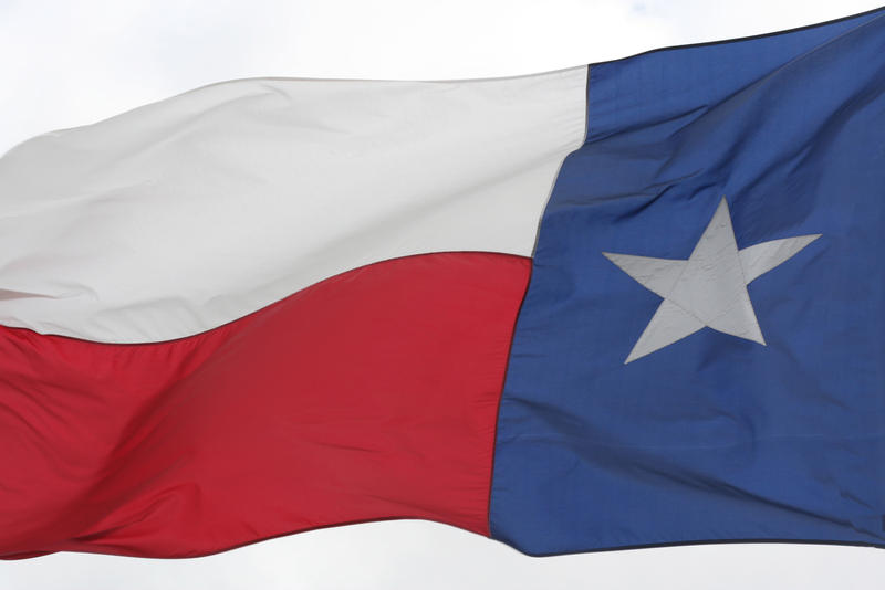 Texas Flag