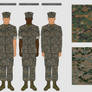 Marine Woodland Combat Uniforms (Recolored)