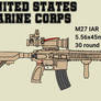 M27 IAR, Cerakoted / Sprayed Coyote Brown