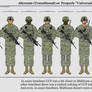 US Army ''Alternate'' UCP