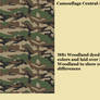 French CCE (Camouflage Central-Europe)