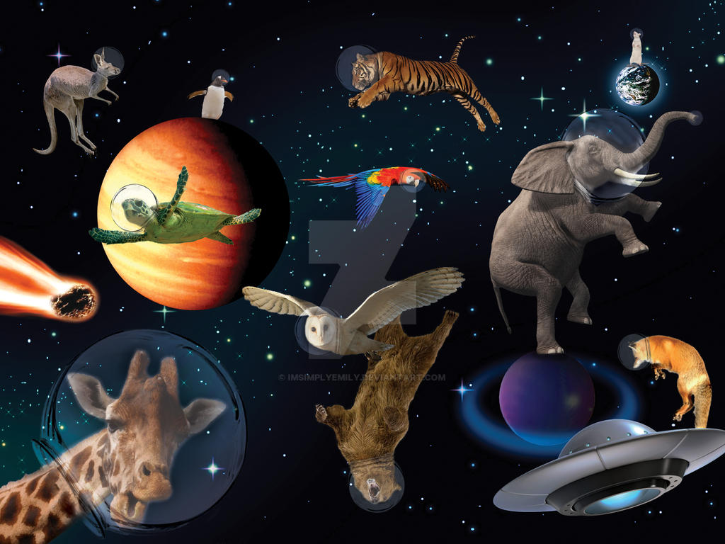 Space Animals by Imsimplyemily on DeviantArt