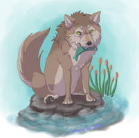 A Wolf on a Rock in a Pond Holding a Green Fish