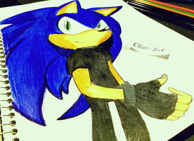 Sonic the hedgehog 