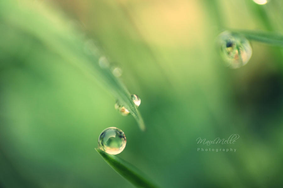 Green emotions. by MelissaBalkenohl