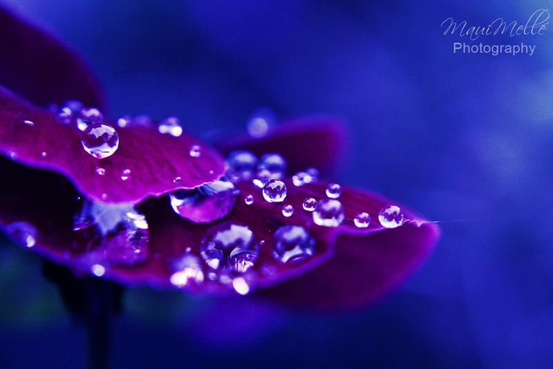 Dancing in the rain.