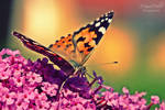 Come closer ~ by MelissaBalkenohl