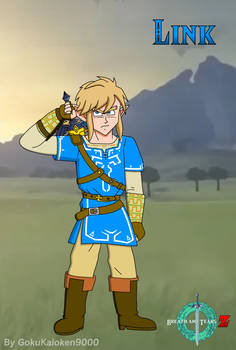 Link (Breath and Tears Z)