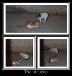 The breakup