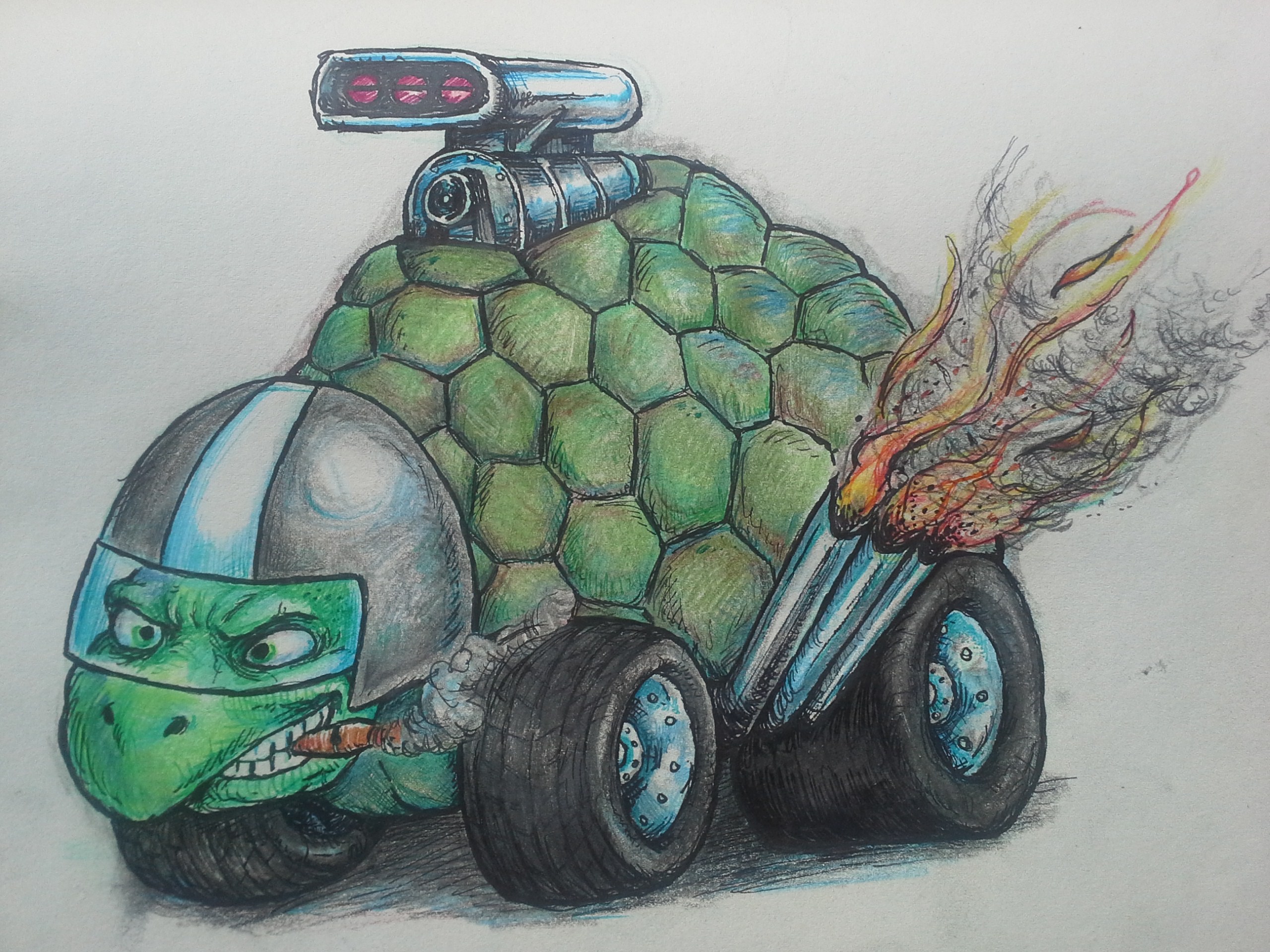 Turtle Car Racing Racing Turtle by butchRbill on DeviantArt