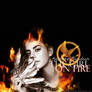 Katniss: the girl on fire