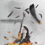 Katniss: into a mockingjay