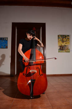 Mi Bass