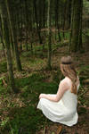 Maiden in the woods serie 5 by velourya-stock