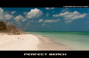 Perfect beach