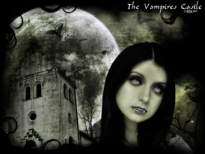 The Vampires Castle