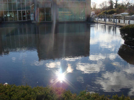 Liquid Sky Parking Lot