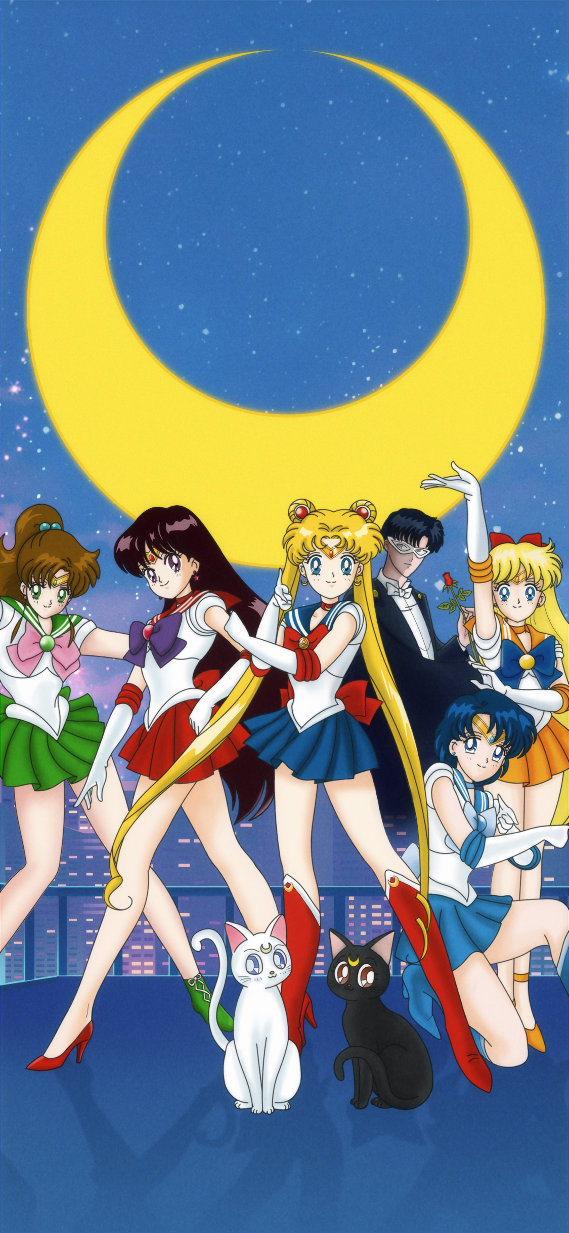 All I Want is You  Sailor moon wallpaper, Sailor moon fan art, Sailor  moon art