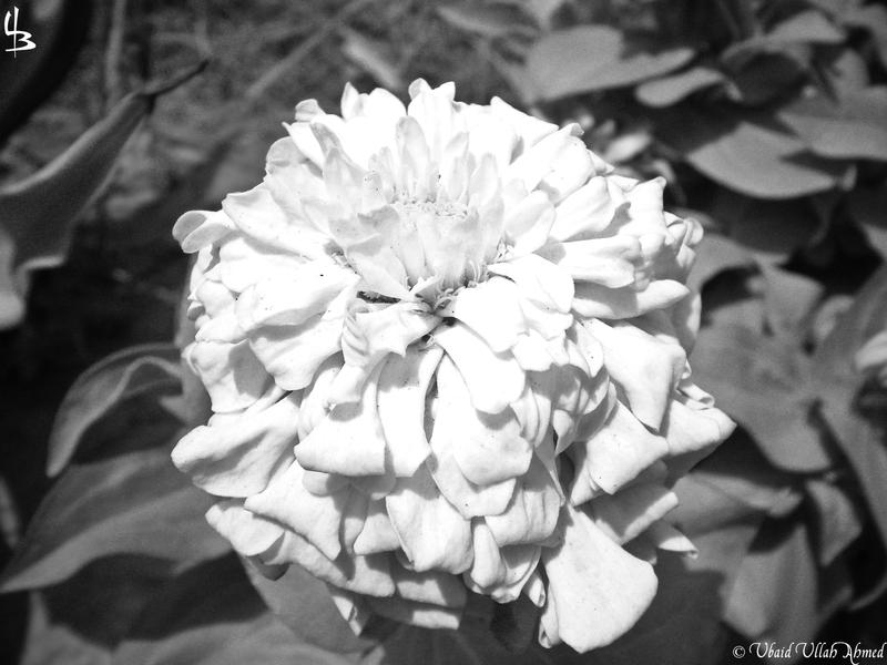 The Memories by devilmaycryub on DeviantArt