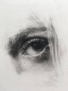 Eye Study