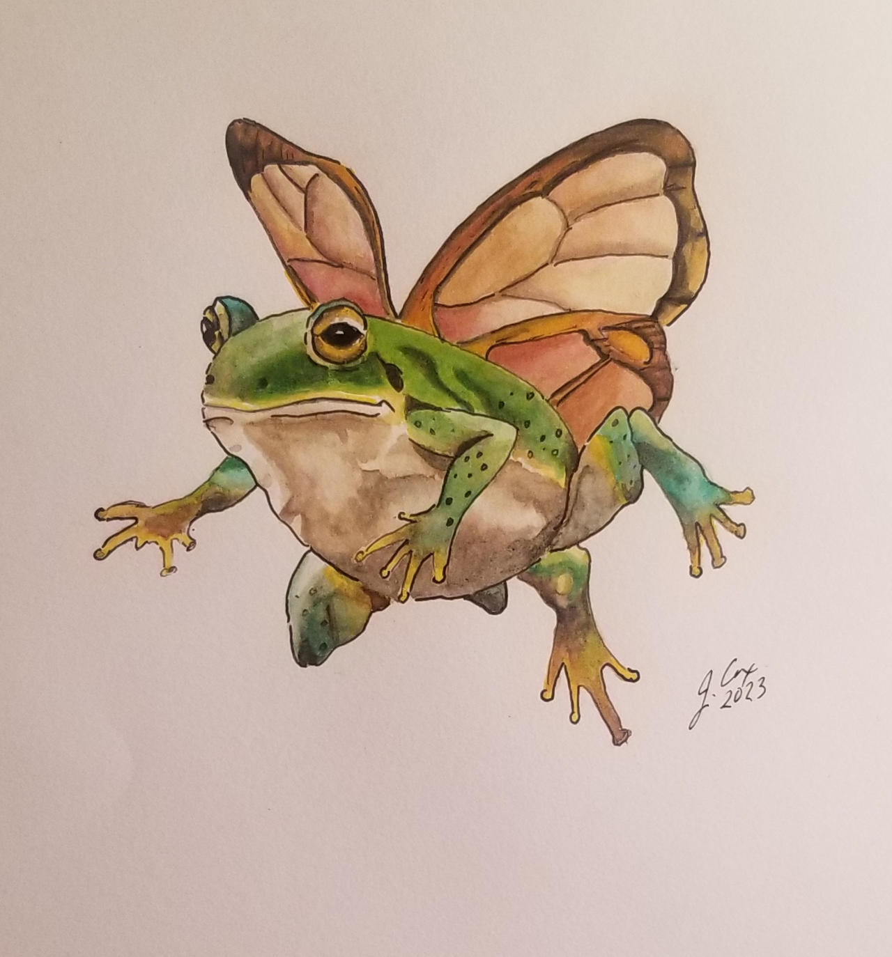 Flying Frog by wingedegeria on DeviantArt