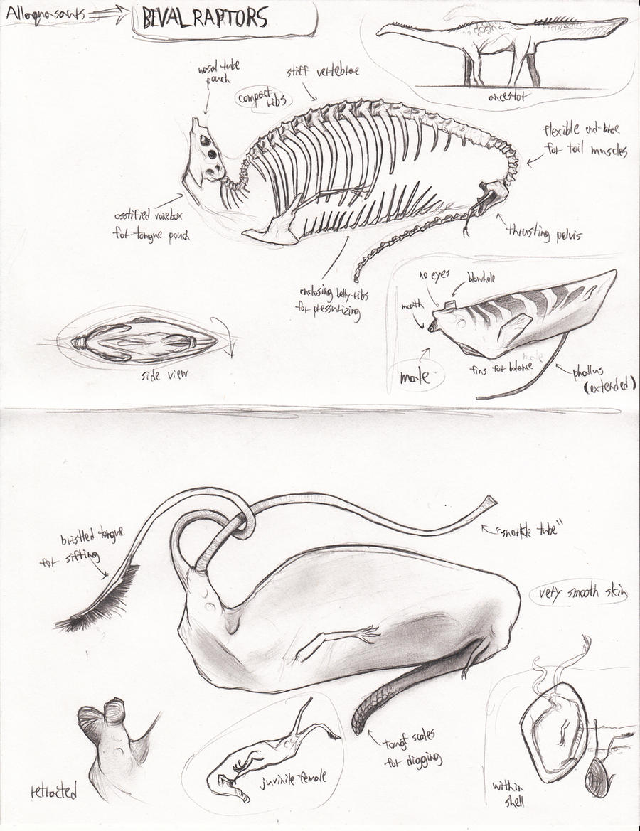 Sapient Raptor Bivalraptoriforms by Transapient on DeviantArt