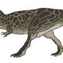 Tyrannosaurus Model