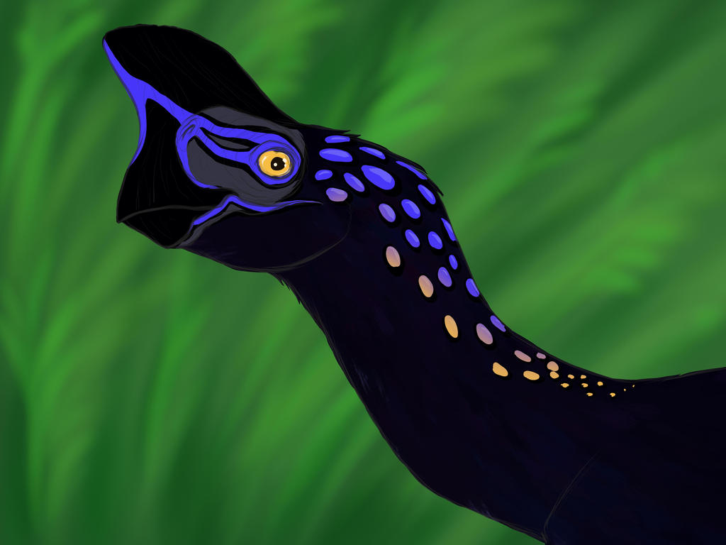 Sapient Raptor Oviraptor Practice by Transapient on DeviantArt